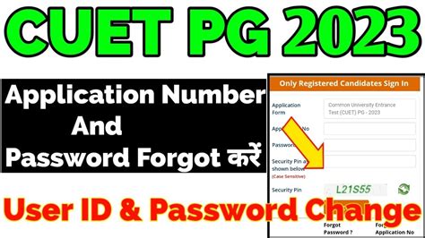 pg password reset.